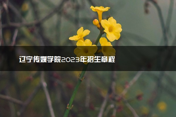 辽宁传媒学院2023年招生章程