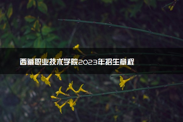 西藏职业技术学院2023年招生章程