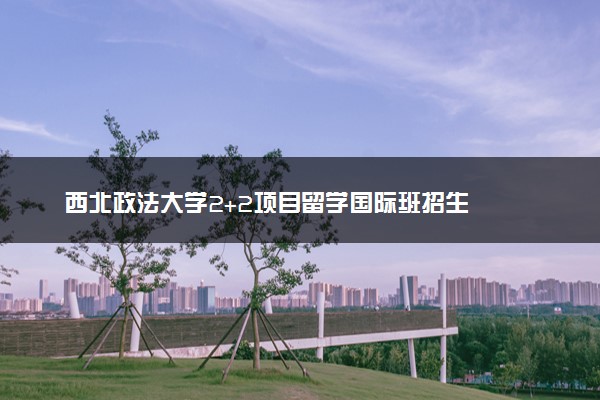 西北政法大学2+2项目留学国际班招生