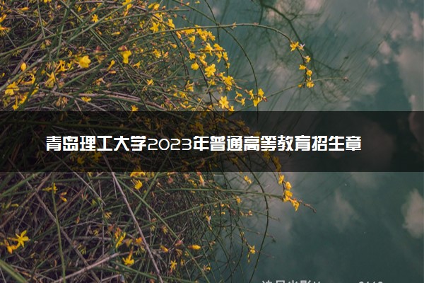 青岛理工大学2023年普通高等教育招生章程