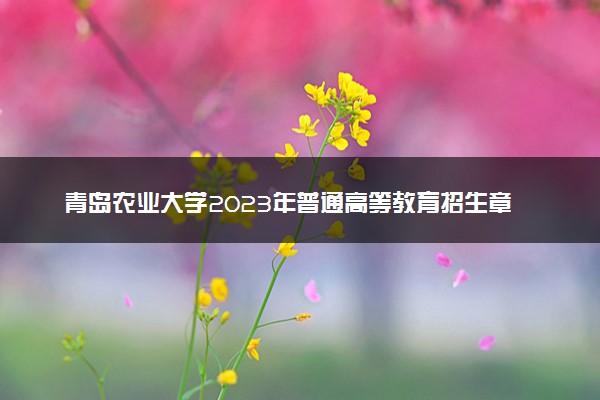 青岛农业大学2023年普通高等教育招生章程
