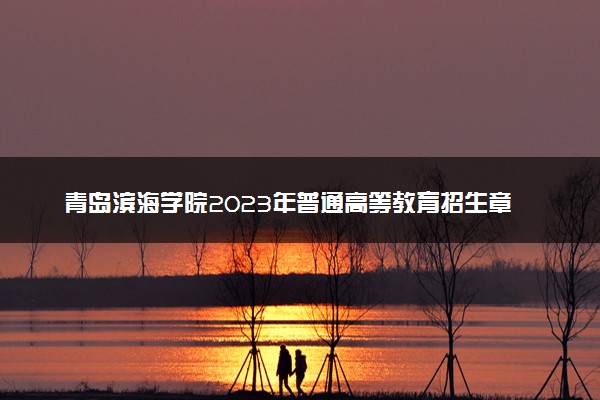 青岛滨海学院2023年普通高等教育招生章程