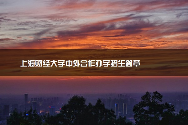 上海财经大学中外合作办学招生简章