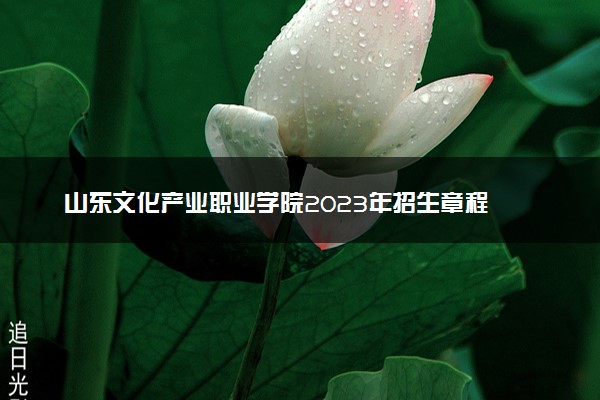 山东文化产业职业学院2023年招生章程