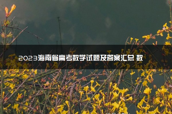 2023海南省高考数学试题及答案汇总 数学真题解析