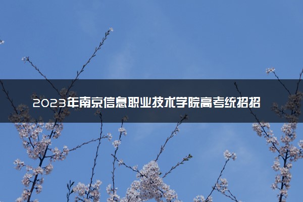 2023年南京信息职业技术学院高考统招招生章程