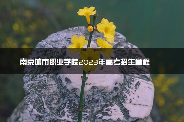 南京城市职业学院2023年高考招生章程