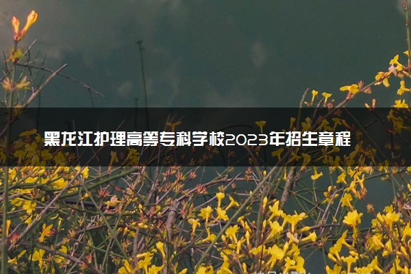 黑龙江护理高等专科学校2023年招生章程