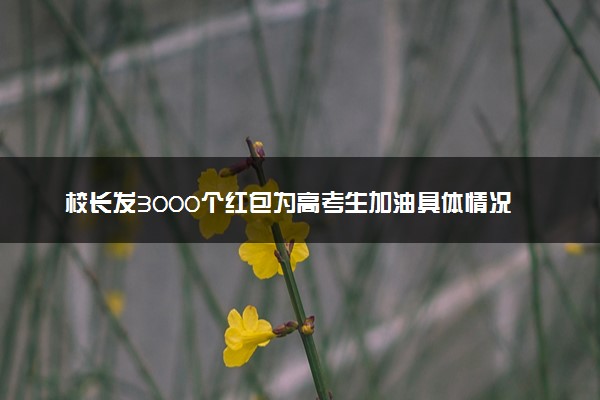 校长发3000个红包为高考生加油具体情况 怎么回事