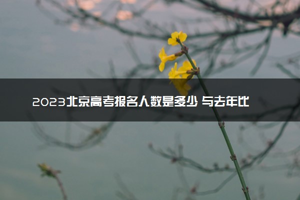 2023北京高考报名人数是多少 与去年比增加还是减少