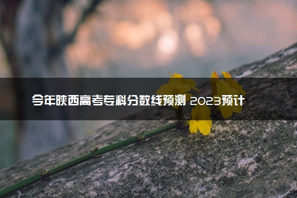 今年陕西高考专科分数线预测 2023预计专科线多少分