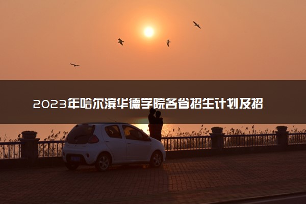2023年哈尔滨华德学院各省招生计划及招生人数 都招什么专业