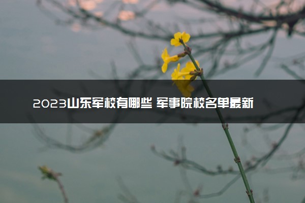 2023山东军校有哪些 军事院校名单最新