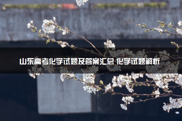 山东高考化学试题及答案汇总 化学试题解析