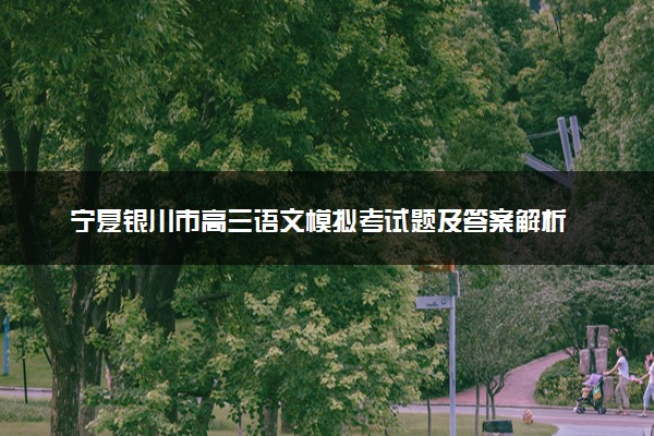 宁夏银川市高三语文模拟考试题及答案解析