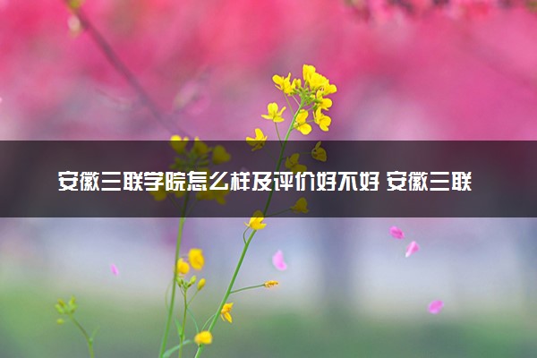 安徽三联学院怎么样及评价好不好 安徽三联学院口碑如何