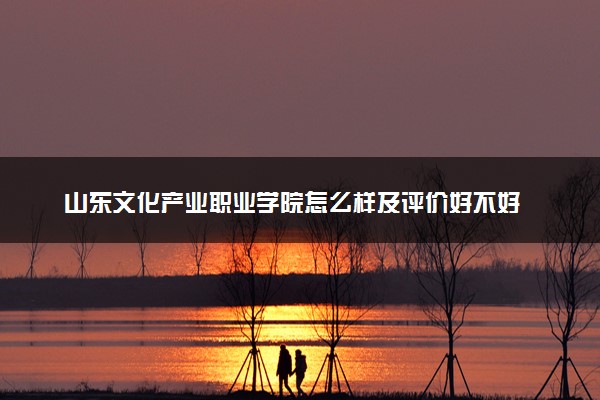 山东文化产业职业学院怎么样及评价好不好 山东文化产业职业学院口碑如何