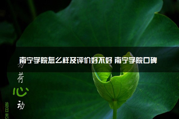 南宁学院怎么样及评价好不好 南宁学院口碑如何