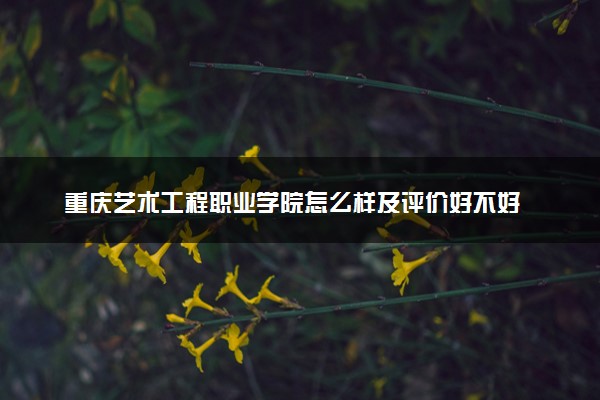 重庆艺术工程职业学院怎么样及评价好不好 重庆艺术工程职业学院口碑如何