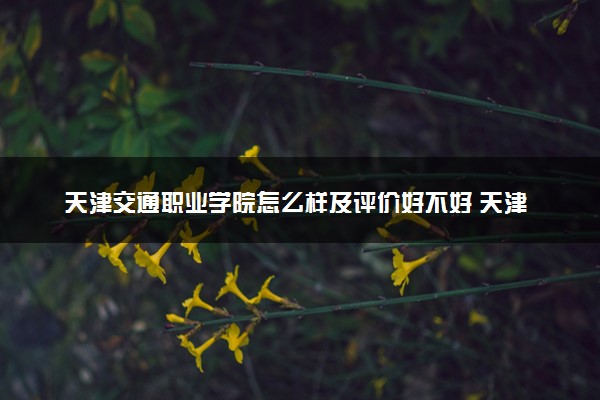 天津交通职业学院怎么样及评价好不好 天津交通职业学院口碑如何