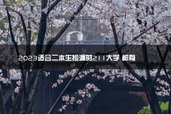 2023适合二本生捡漏的211大学 都有哪些