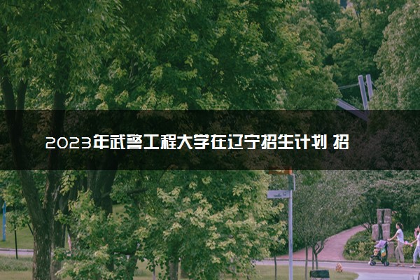 2023年武警工程大学在辽宁招生计划 招生专业及人数