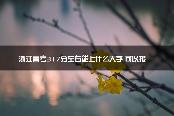 浙江高考317分左右能上什么大学 可以报哪些公办院校(2023报考推荐)