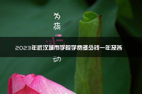 2023年武汉城市学院学费多少钱一年及各专业收费标准查询 大约需要多少费用