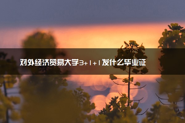 对外经济贸易大学3+1+1发什么毕业证