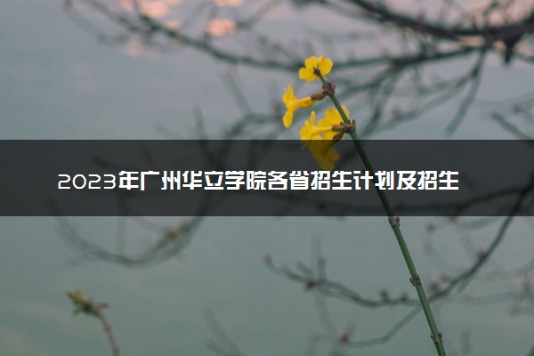 2023年广州华立学院各省招生计划及招生人数 都招什么专业