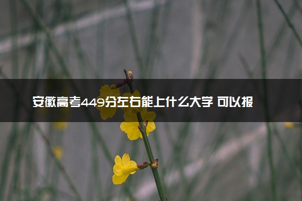 安徽高考449分左右能上什么大学 可以报哪些公办院校(2023报考推荐)