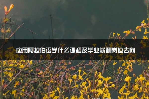 应用阿拉伯语学什么课程及毕业薪酬岗位去向 就业前景怎么样