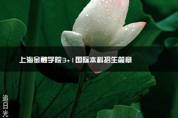 上海金融学院3+1国际本科招生简章
