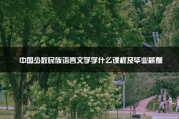 中国少数民族语言文学学什么课程及毕业薪酬岗位去向 就业前景怎么样