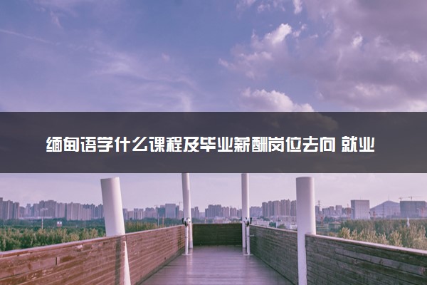 缅甸语学什么课程及毕业薪酬岗位去向 就业前景怎么样