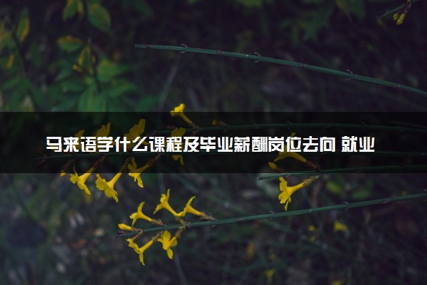 马来语学什么课程及毕业薪酬岗位去向 就业前景怎么样