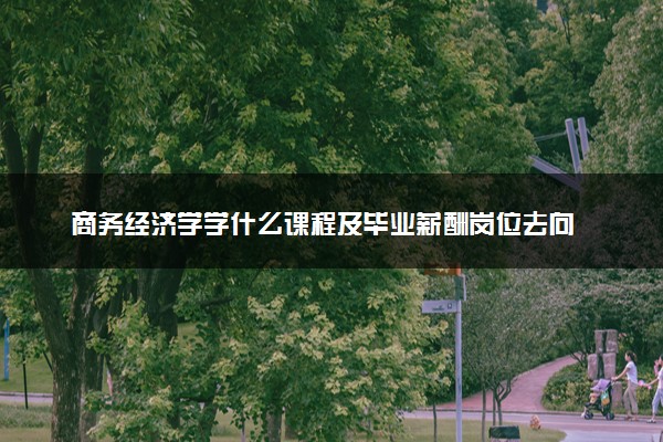 商务经济学学什么课程及毕业薪酬岗位去向 就业前景怎么样