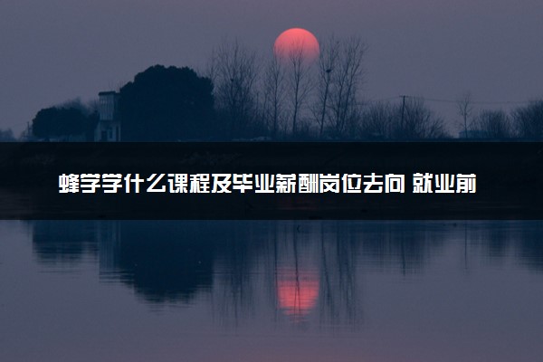 蜂学学什么课程及毕业薪酬岗位去向 就业前景怎么样