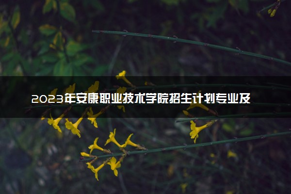 2023年安康职业技术学院招生计划专业及各省录取分数线位次