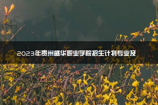 2023年贵州盛华职业学院招生计划专业及各省录取分数线位次