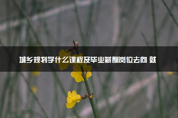 城乡规划学什么课程及毕业薪酬岗位去向 就业前景怎么样