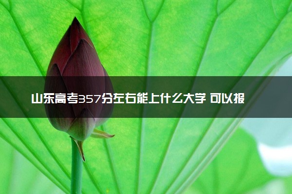 山东高考357分左右能上什么大学 可以报哪些公办院校(2023报考推荐)