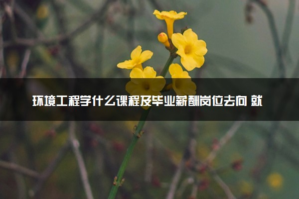 环境工程学什么课程及毕业薪酬岗位去向 就业前景怎么样