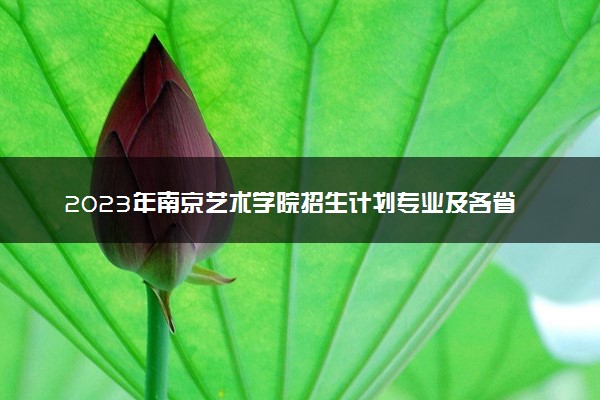 2023年南京艺术学院招生计划专业及各省录取分数线位次