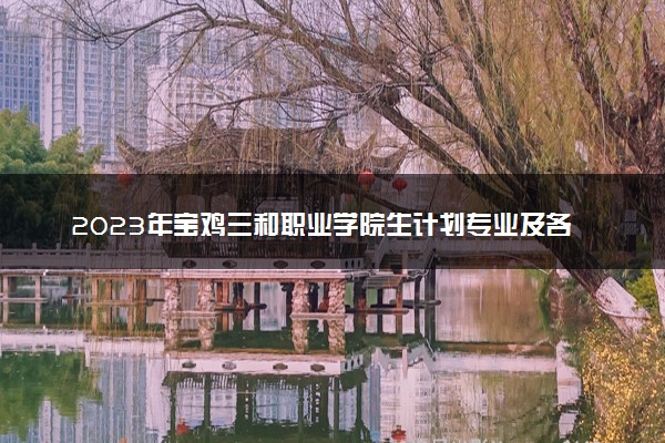 2023年宝鸡三和职业学院生计划专业及各省录取分数线位次