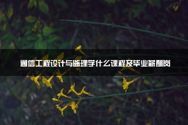 通信工程设计与监理学什么课程及毕业薪酬岗位去向 就业前景怎么样