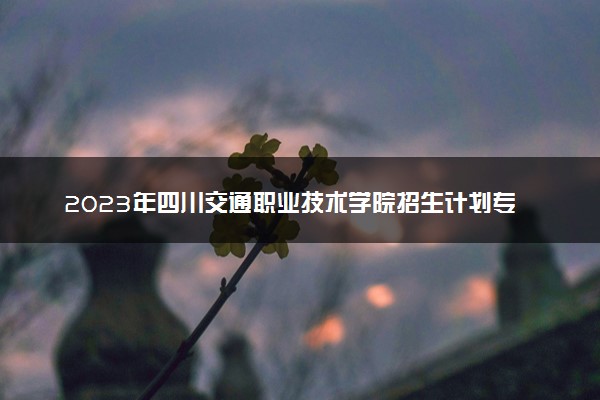 2023年四川交通职业技术学院招生计划专业及各省录取分数线位次