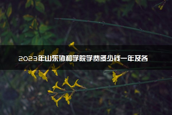 2023年山东协和学院学费多少钱一年及各专业收费标准查询 大约需要多少费用