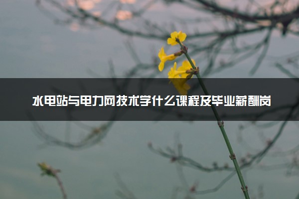 水电站与电力网技术学什么课程及毕业薪酬岗位去向 就业前景怎么样