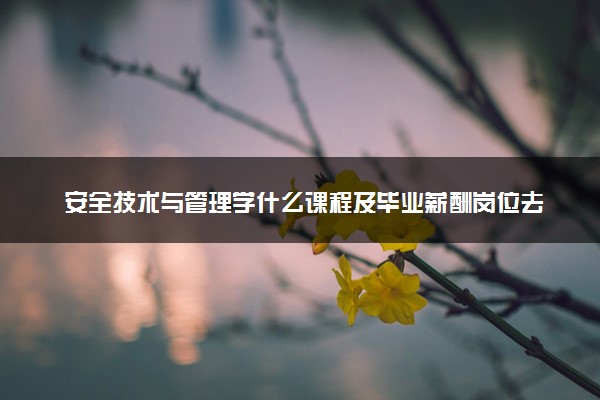 安全技术与管理学什么课程及毕业薪酬岗位去向 就业前景怎么样